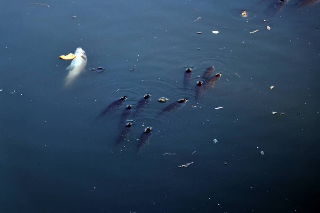 O kentte korkutan manzara: Ekipler apar topar inceleme başlattı! Yağmur suyu kanalları bile inceleniyor 10